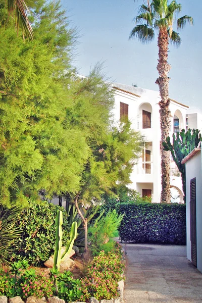 Plantas en un resort en España — Foto de Stock