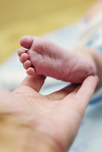 Маленькая нога новорожденного ребенка в руках его матери — стоковое фото