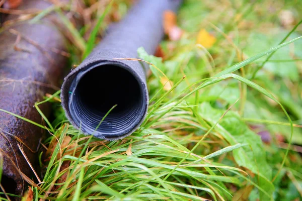 Çimlerin üzerinde duran siyah plastik borulara yakın plan.