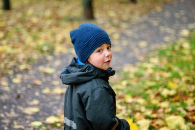 Bir sonbahar gününde parkta yürüyen sevimli küçük bir çocuk. Arkanı dön.