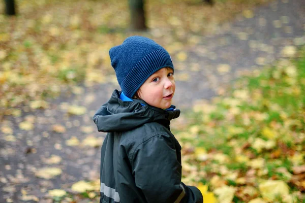 Милый Маленький Мальчик Гуляющий Парке Осенним Днем Повернись — стоковое фото