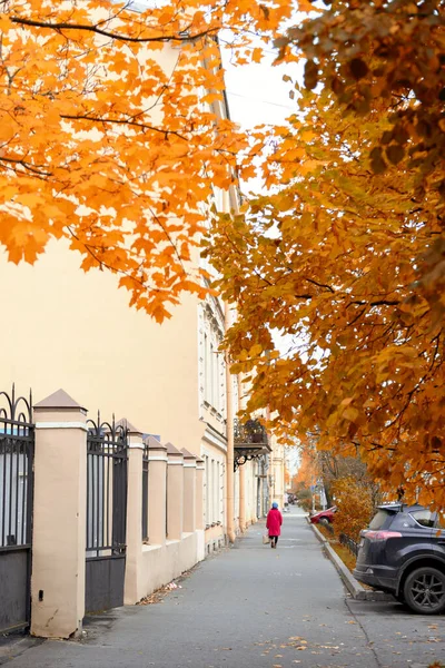 Kolorowa Jesienna Ulica Złotymi Liśćmi Zdjęcie Pionowe — Zdjęcie stockowe