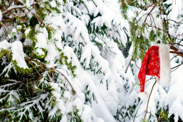 Christmas Background Snow Tree Red Santa Hat — Stock Photo, Image