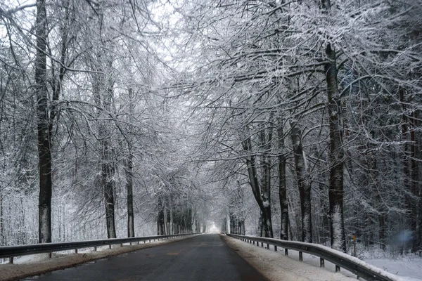 Snowy Winterweg Het Bos Gedurende Dag — Stockfoto