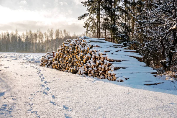 Freshly Cut Logs Firewood Loggers Submerged Blanket White Snow Winter — Stock Photo, Image