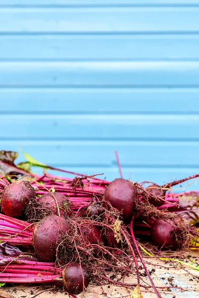 Fresh Beets Tops Table — Stock Photo, Image