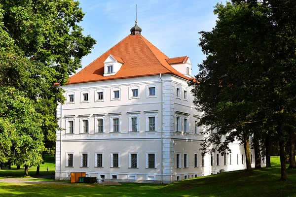 Zamek Birzai Mieście Birzai Litwie — Zdjęcie stockowe