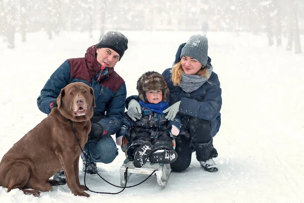 Família Jovem Com Menino Cão Labrador Está Divertindo Uma Caminhada — Fotografia de Stock