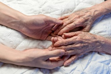Yaşlı ve genç eller. Yaşlı bir kadının elleri. Torununun genç ellerinde 82 yaşında.
