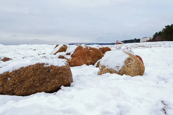 Rocks on the snow-covered shore of the Baltic Bay.
