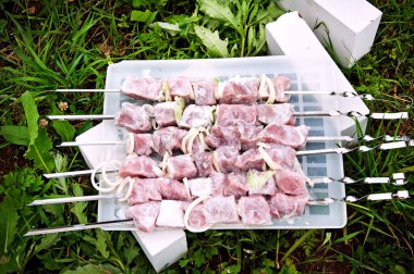 Doğada çiğ domuz şiş kebap.
