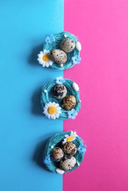 Sepetinde bıldırcın yumurtası olan çok renkli pembe ve mavi bir arka plan. Paskalya kartı. Metin için boşluk