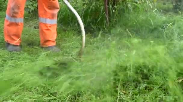 Egy Narancssárga Kezeslábasban Nyírja Füvet Egy Elektromos Fűnyíróval Gyomok Pitypangok — Stock videók