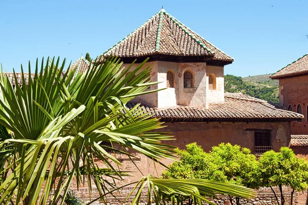 Alter Park Mit Palmen Und Den Dächern Der Alhambra Spanien — Stockfoto