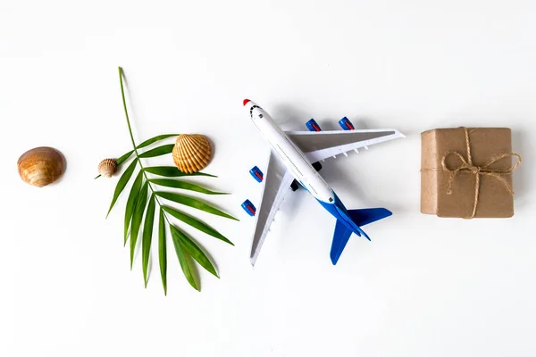 Bannière Été Avec Une Feuille Palmier Avion Une Coquille Cadeau — Photo