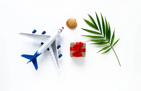 Summer banner with a palm leaf, an airplane, a shell, a gift on a white background. The concept of recreation.