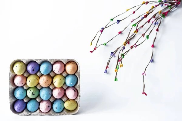 Colored Willow Branch Colored Eggs Cage Eggs Happy Easter Concept — Stock Photo, Image