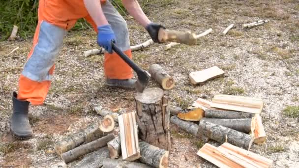 Muž Sekerou Procesu Sekání Dřeva Pro Palivové Dříví — Stock video