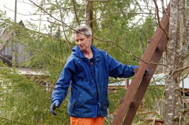 Ağaç cerrahı merdivenleri çıkmaya hazırlanıyor..