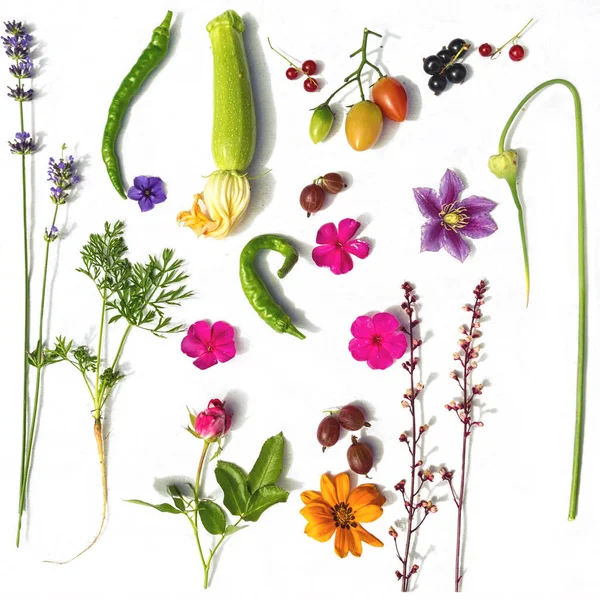 白を基調とした庭の野菜や果実 花々の背景 — ストック写真