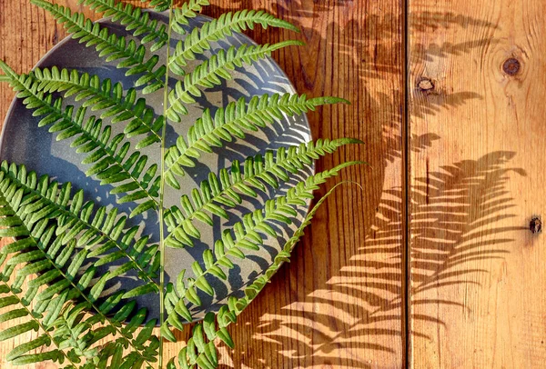 Hoja Helecho Verde Con Sombras Profundas Sobre Fondo Madera Placa — Foto de Stock