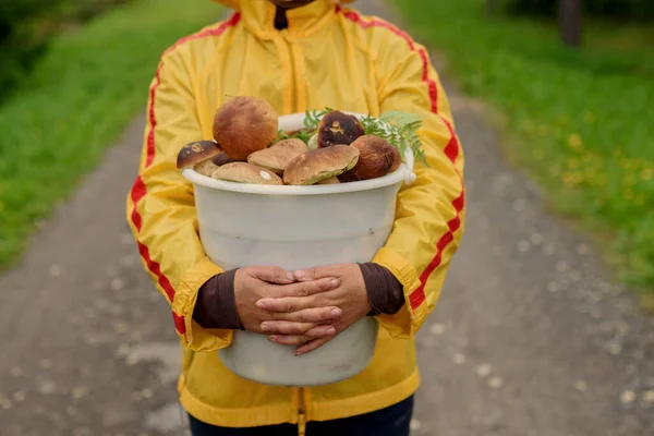 Mushroom Harvest Time Woman Basket Mushrooms Autumn Forest — Stock Photo, Image