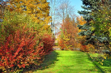 Parkta güzel bir sonbahar