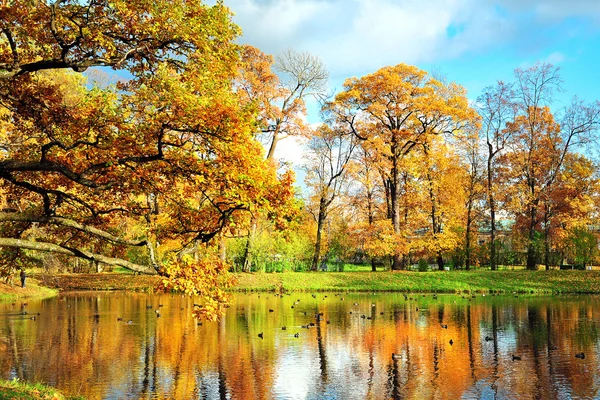 Beautiful autumn in the park — Stock Photo, Image