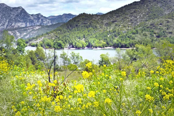 Montagna di primavera — Foto Stock