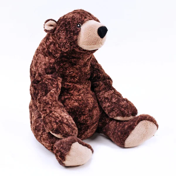 Brown teddy bear on a white background — Stock Photo, Image