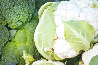 lahana ve brokoli piyasada