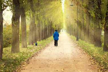 kadın köpek ile sonbahar Park