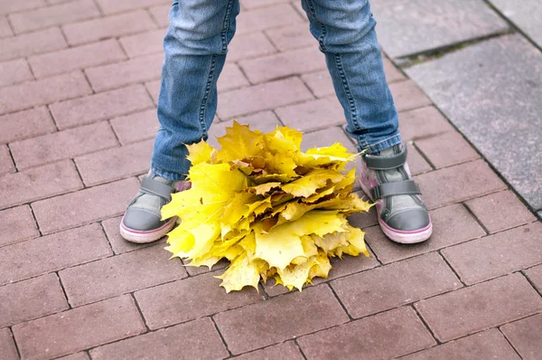 Ramo de hojas de otoño alrededor de las piernas del niño — Foto de Stock