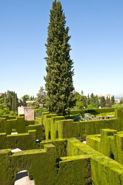 Park Alhambra, Granada, Spanyol — Stok Foto