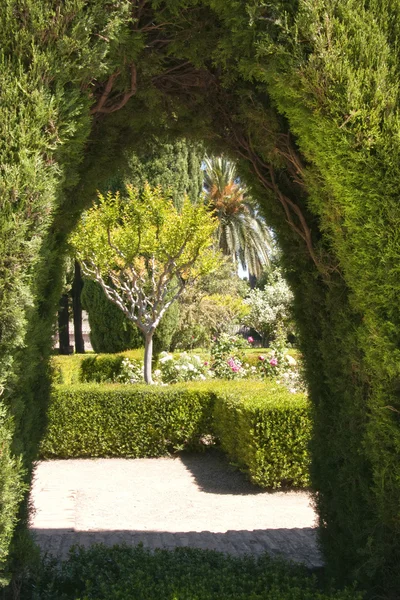 Park Alhambra, Granada, Spain — Stock Photo, Image