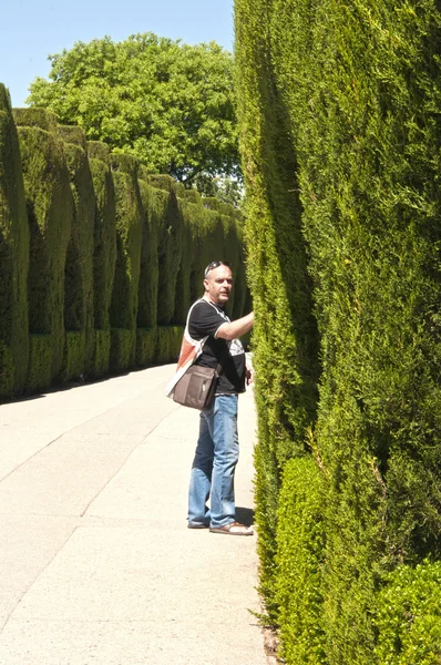 Park Alhambra, granada, İspanya — Stok fotoğraf