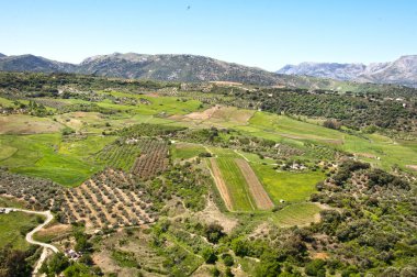 alan Ronda, İspanya