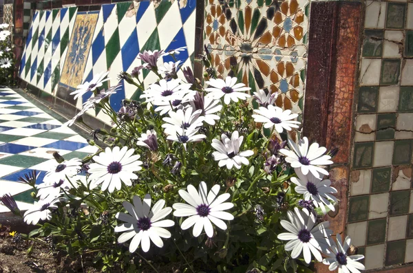 Flores em um fundo de mosaico espanhol tradicional — Fotografia de Stock