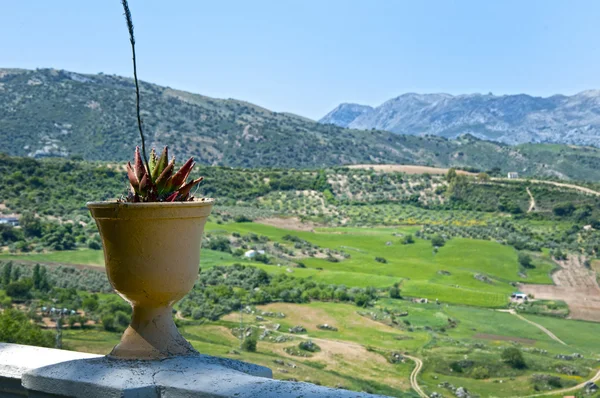 Vista para o campo em Ronda, Espanha — Fotografia de Stock