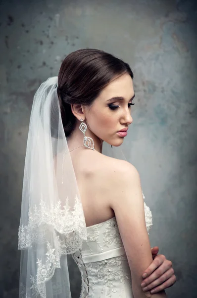 Bride in wedding dress and veil Stock Image