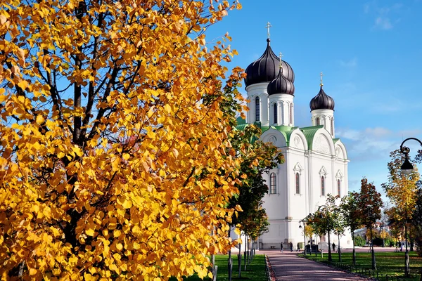 Русская церковь в Пишкине, Санкт-Петербург . — стоковое фото