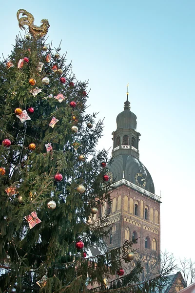 Árbol de Navidad en Dome Square en Riga, Letonia —  Fotos de Stock