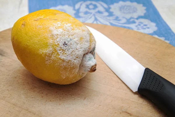 Moldy lemon — Stock Photo, Image