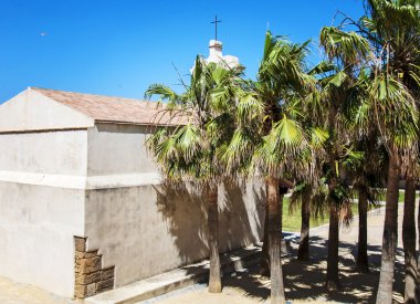 Cadiz, İspanya kalenin avlusunda palmiye ağaçları