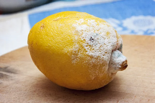 Rotten lemon — Stock Photo, Image