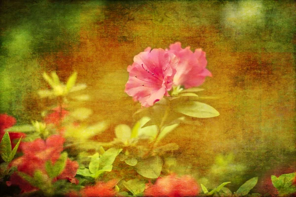 Fond abstrait avec des fleurs — Photo