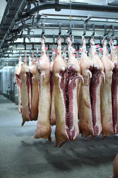 domuz leşleri kanca üzerinde