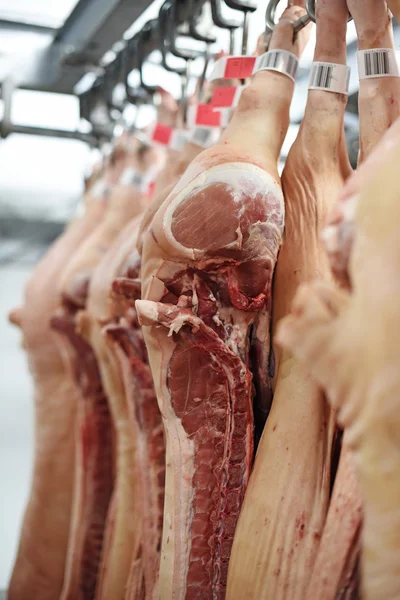 Pork carcasses on hooks — Stock Photo, Image