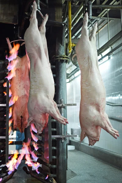 Domuz eti et üretimi — Stok fotoğraf