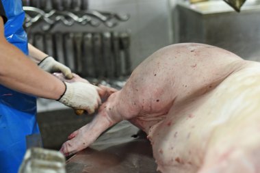 domuz eti üretiminde çalışan temizler